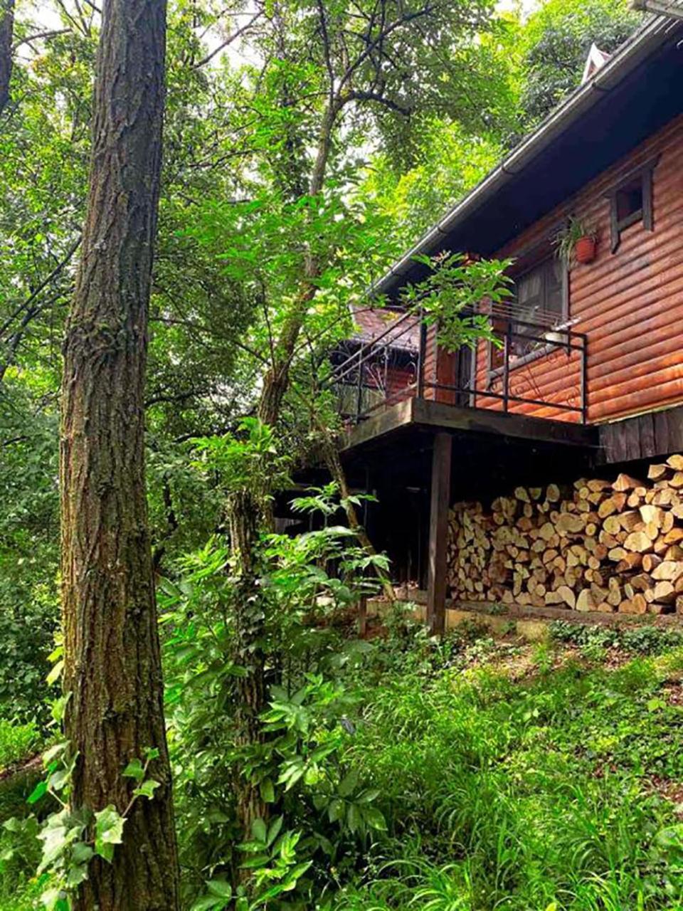 Oaza Prirode, Brvnare Platan Apartment Vrdnik Bagian luar foto