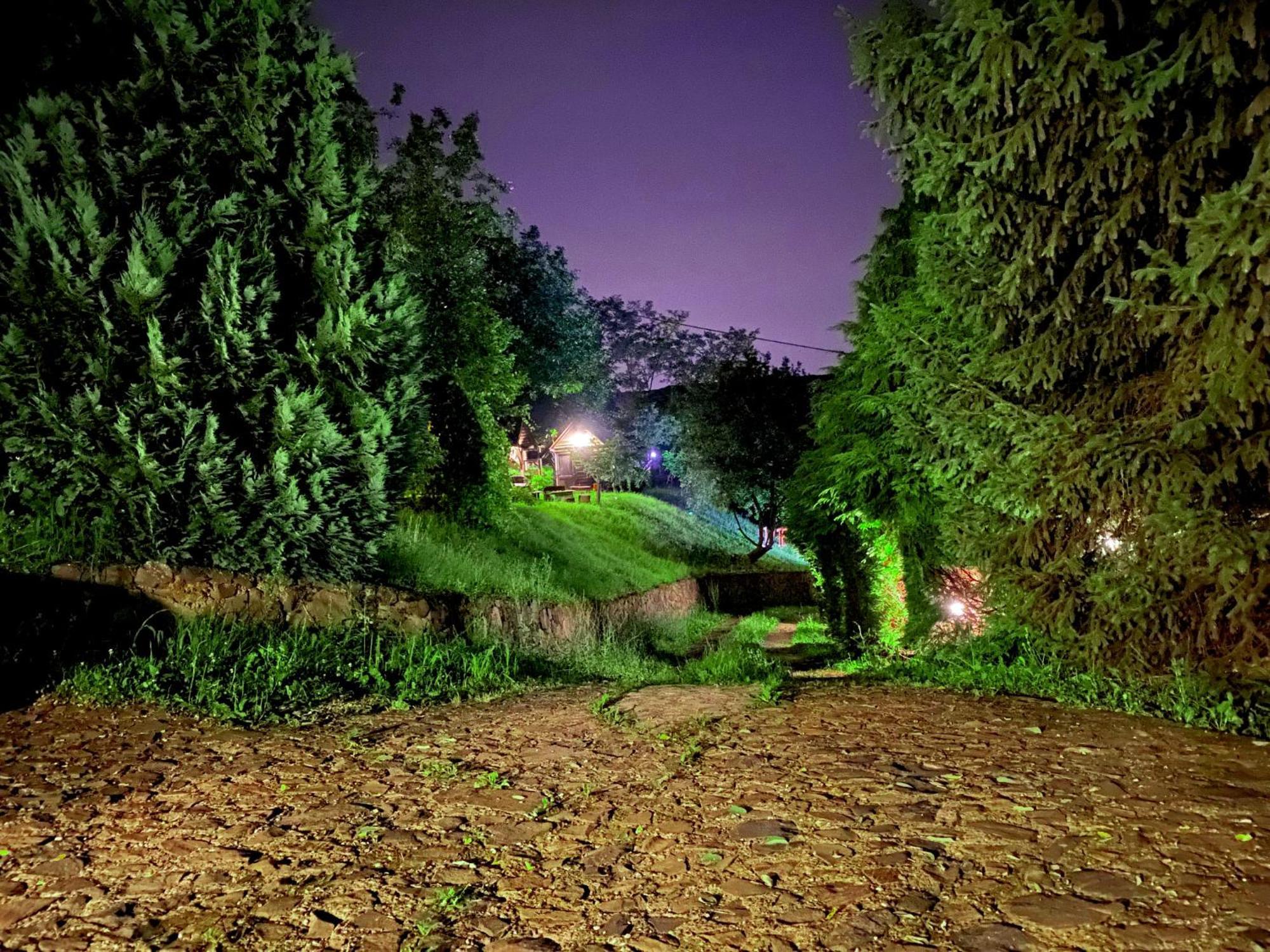 Oaza Prirode, Brvnare Platan Apartment Vrdnik Bagian luar foto